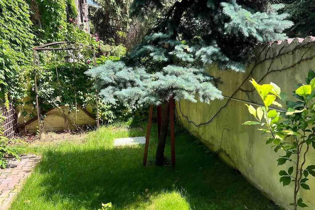 Apartment Loft Villa Floreasca Bucharest Romania