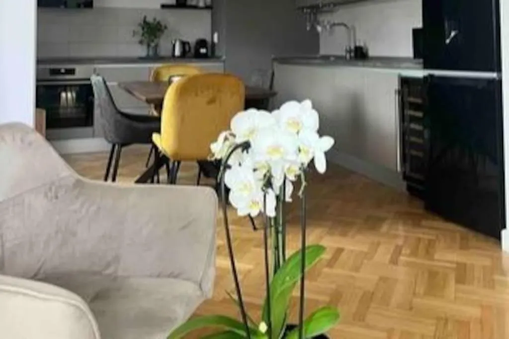 Loft Villa Floreasca Bucharest Apartment
