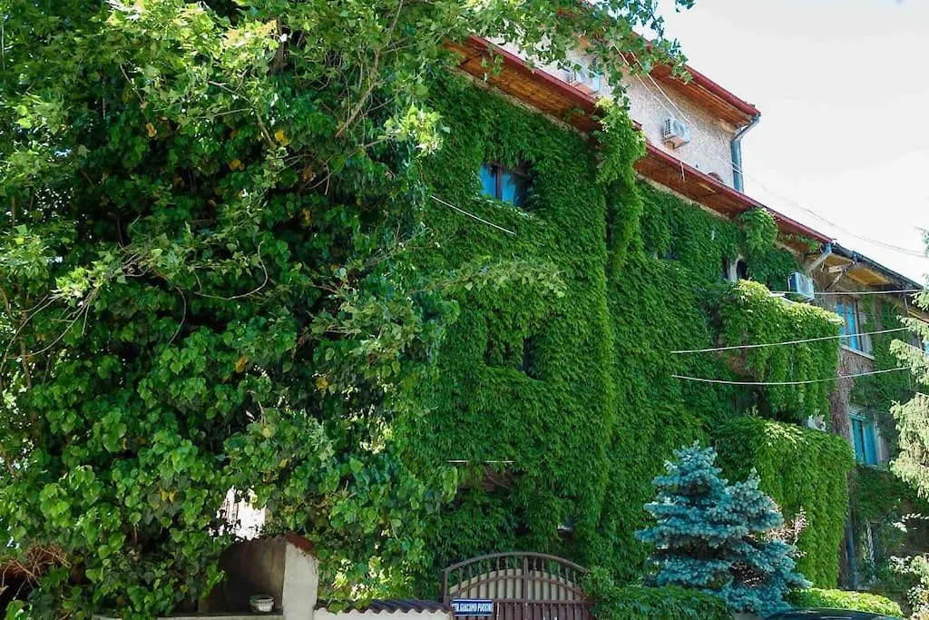 Loft Villa Floreasca Bucharest