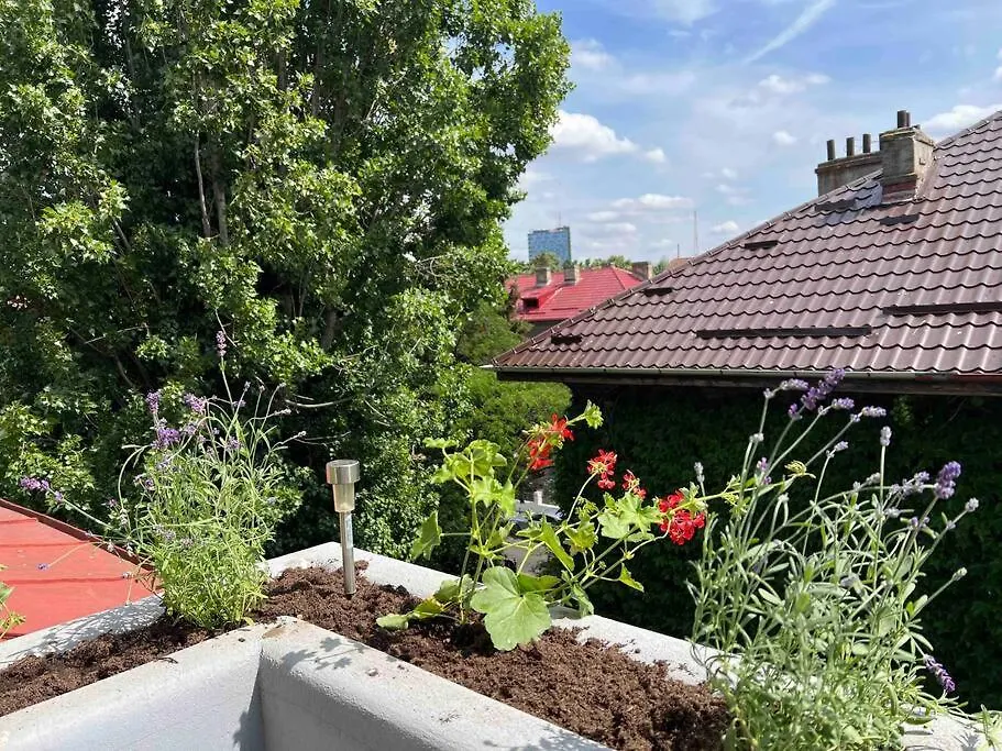 Loft Villa Floreasca Boekarest